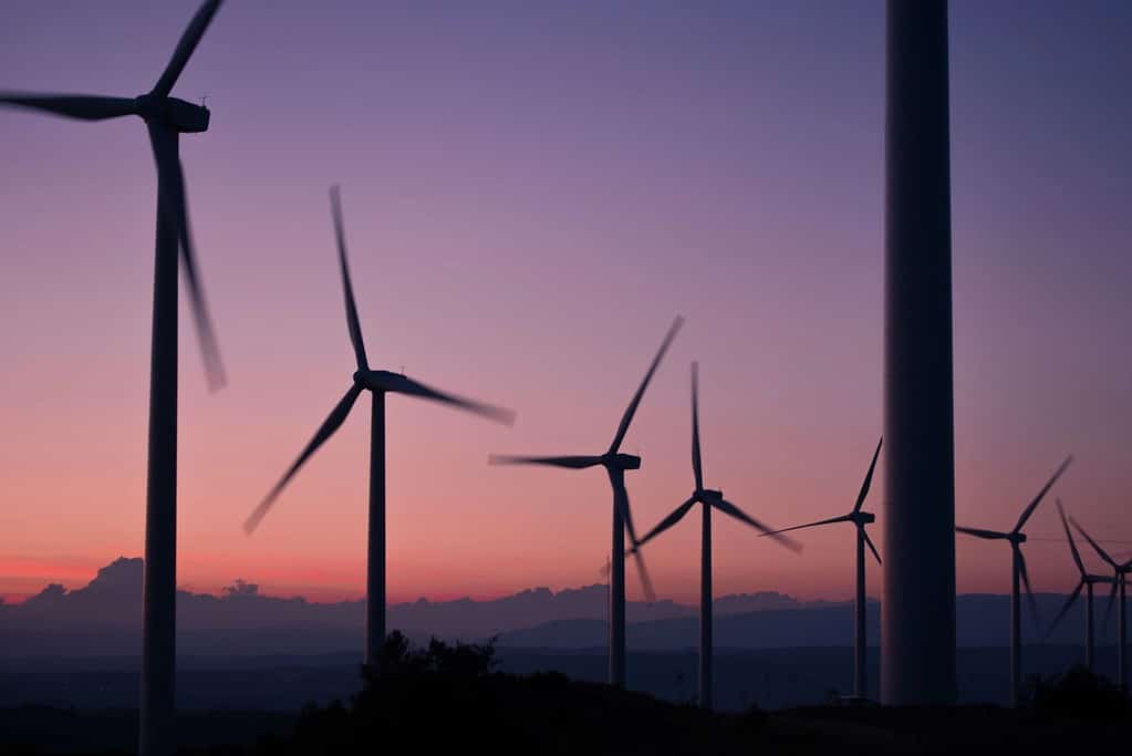 Wind farm sustainability